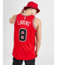 Nike NBA Chicago Bulls Lavine Ανδρική Μπασκετική Φανέλα